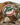 New Era Miami Dolphins 'Great Outdoors' 9FORTY A-Frame Snapback Camo